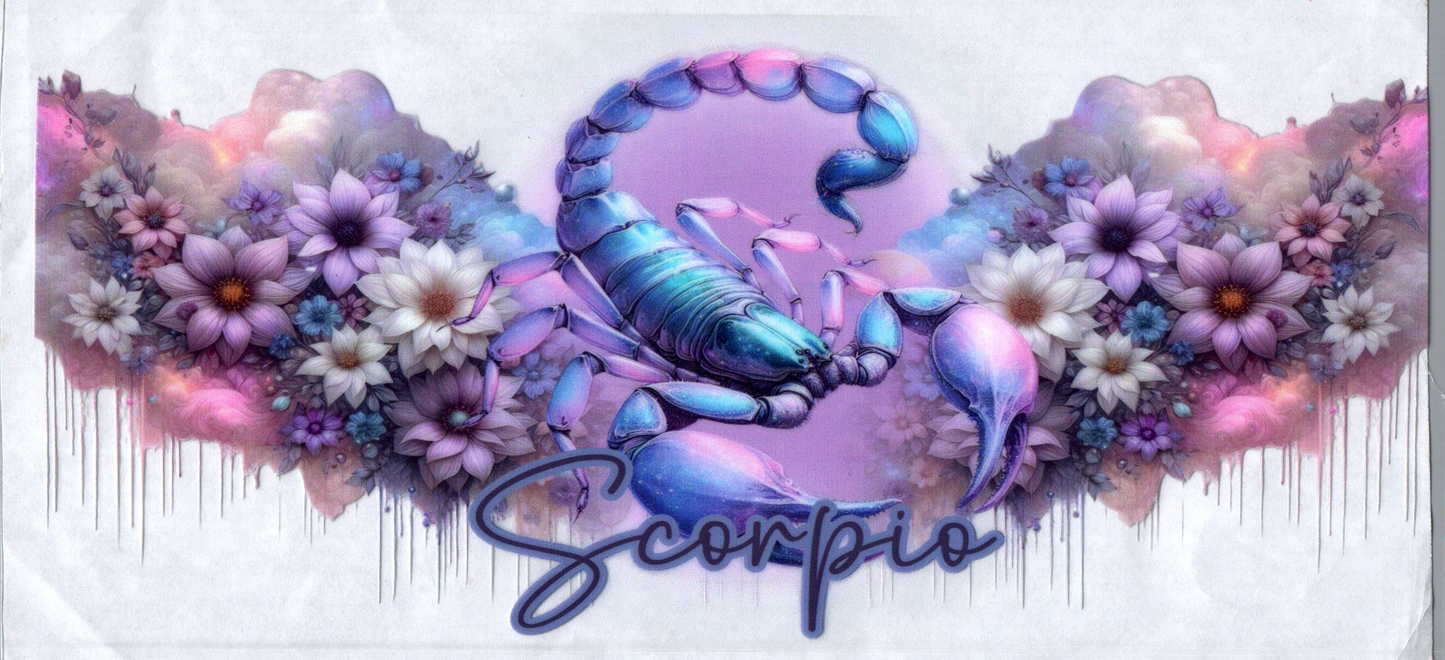 16oz Zodiac Signs 100