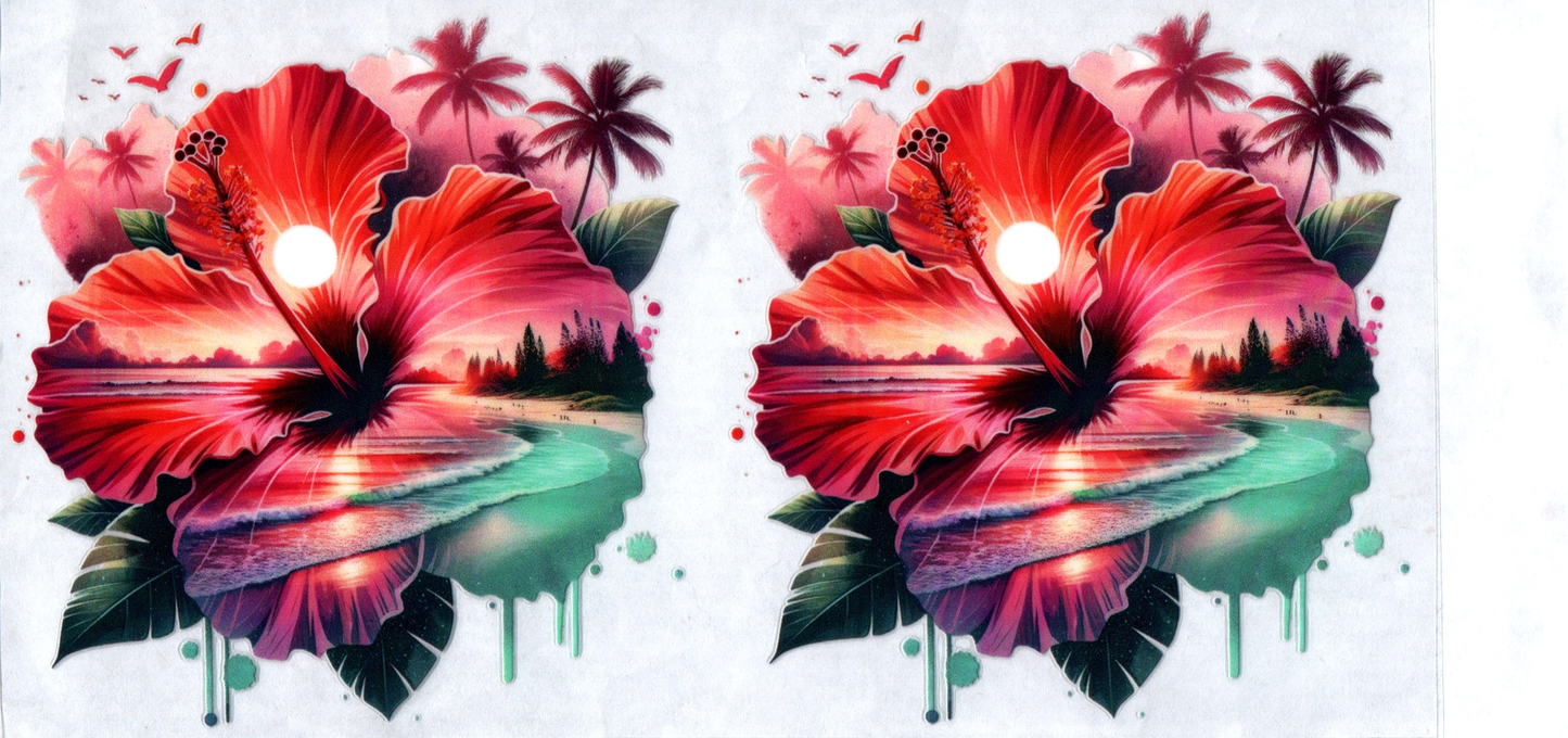 16 oz Pretty Hibiscus flowers 102