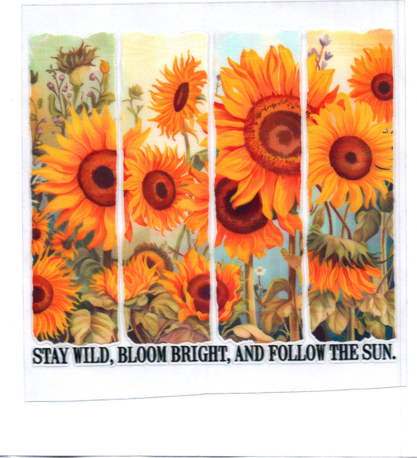 Sunflower Stay Wild 11