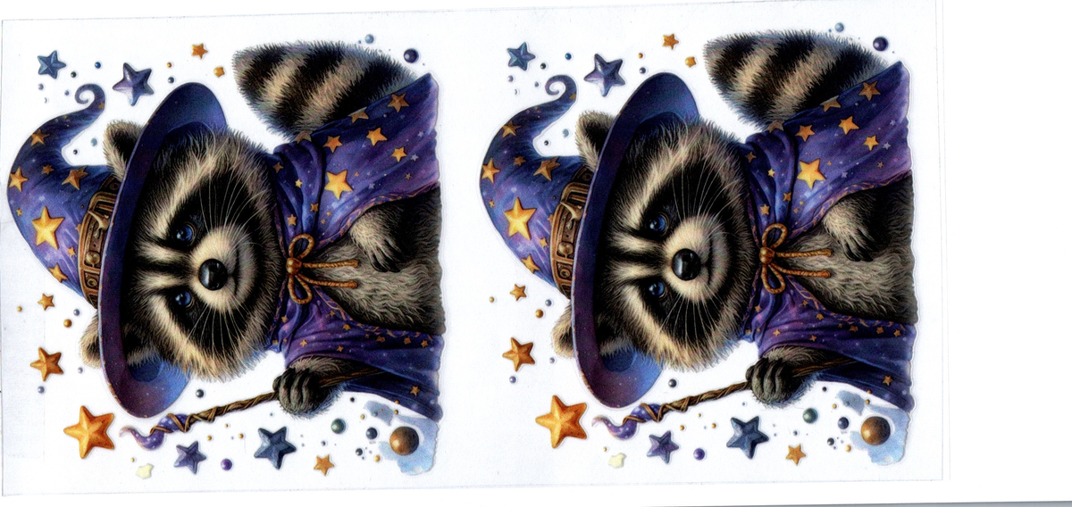 16oz raccoon witch halloween 127