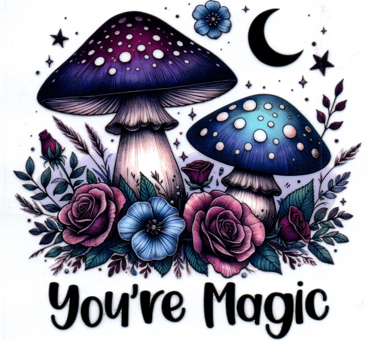 you're magic blue mushrooms 14
