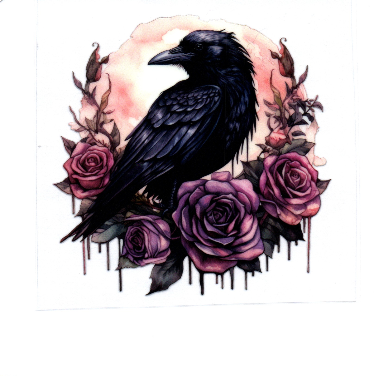 black raven red & purple roses Single Decal 150