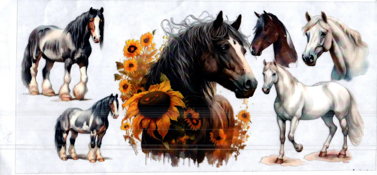 16 oz draft horse & other horses misc 152