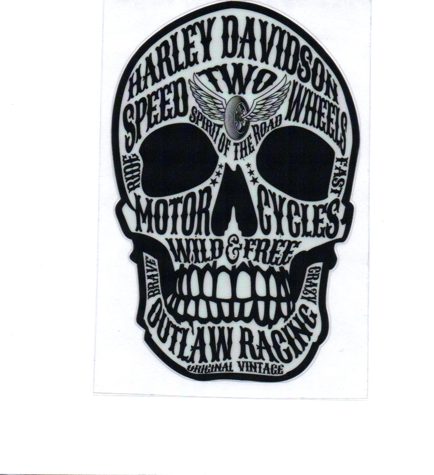 HD Skull Decal 1
