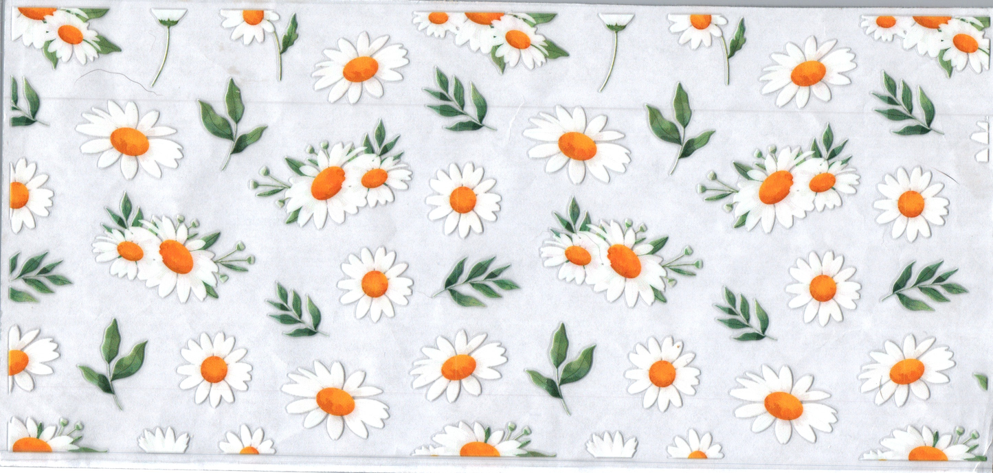 16oz Daisy Heads 169
