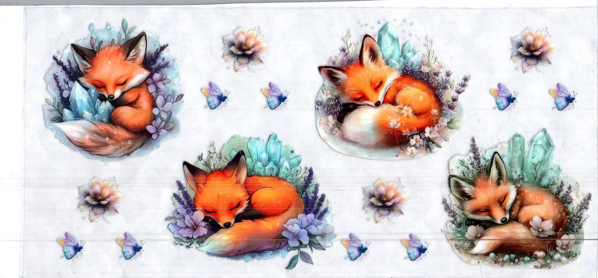 16 oz sleeping fox misc 174