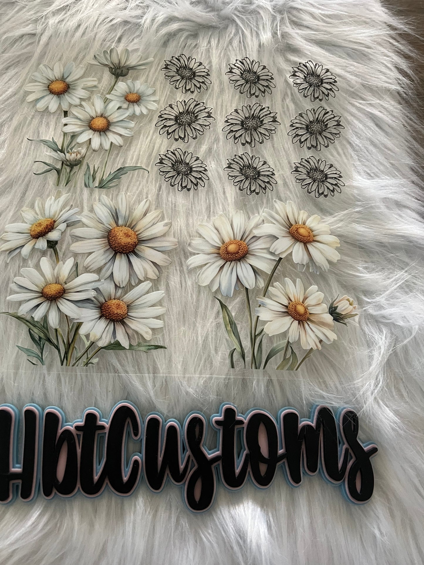 Daisies Element 10 x 10