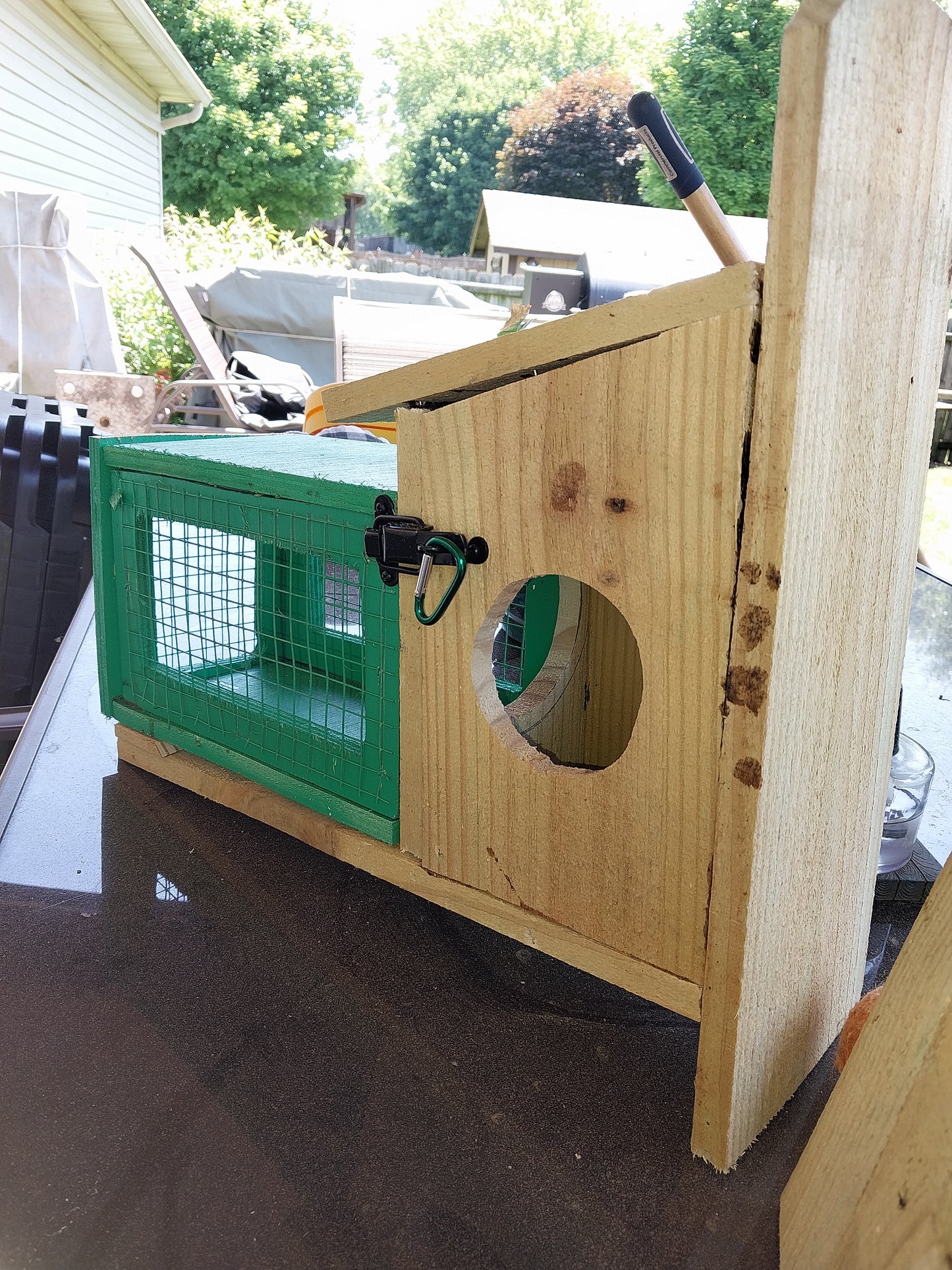 Wooden Squirrel Feedsr with Cage