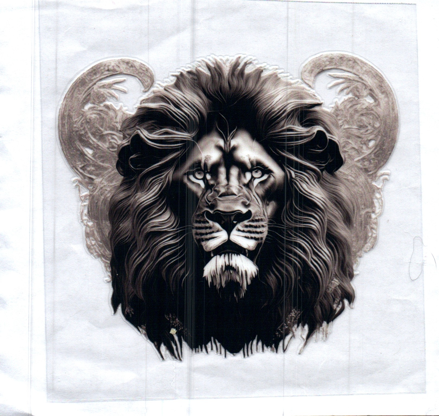 Lion 2 Decal