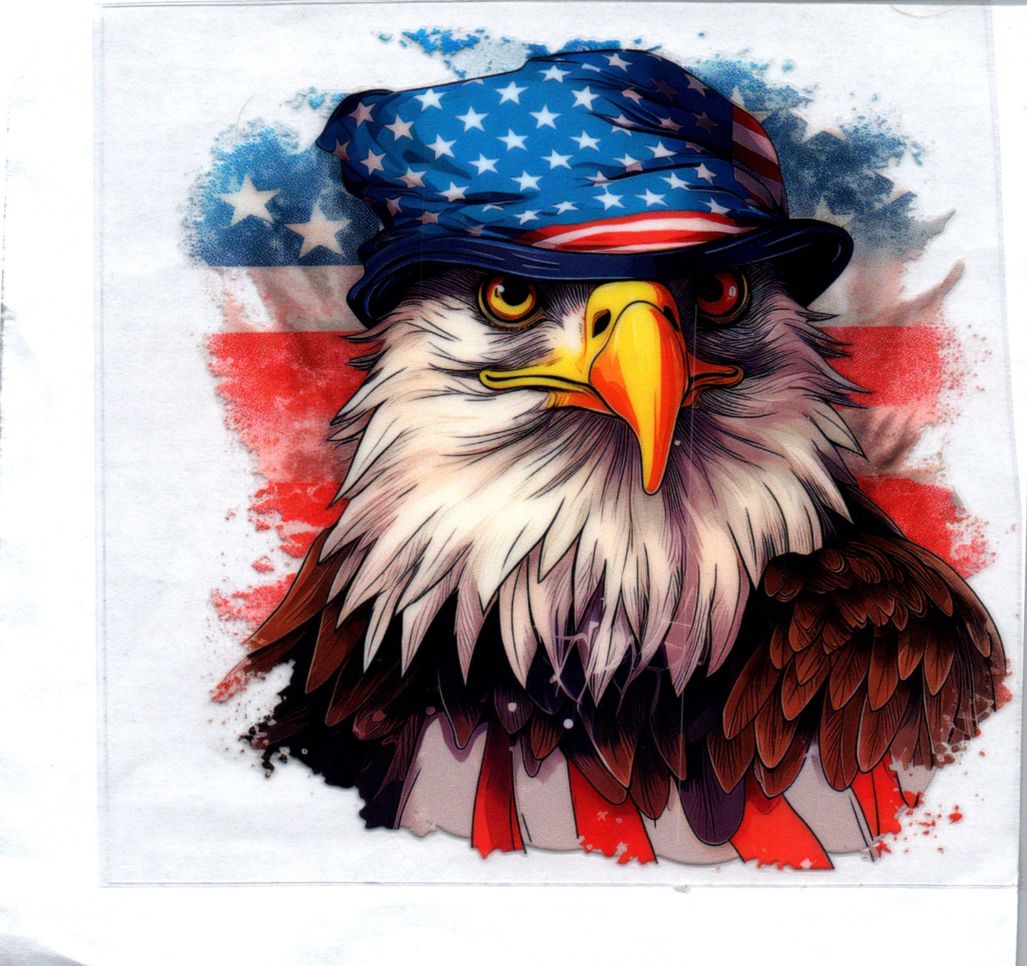 RWB Eagle w/Hat Decal