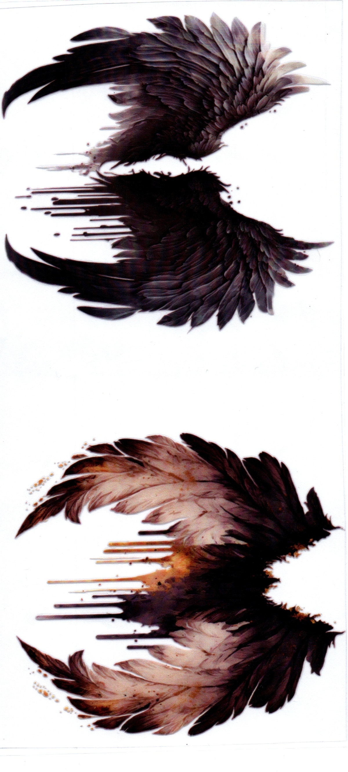 DARK GOTHIC WINGS DECALS