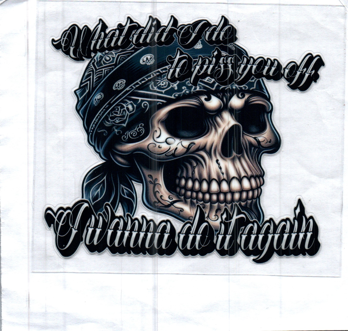 What did I do to piss you off? Decal