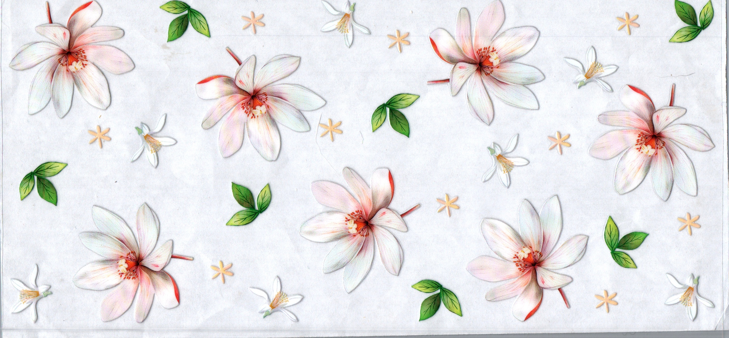 16oz Asterix And White Flowers 27