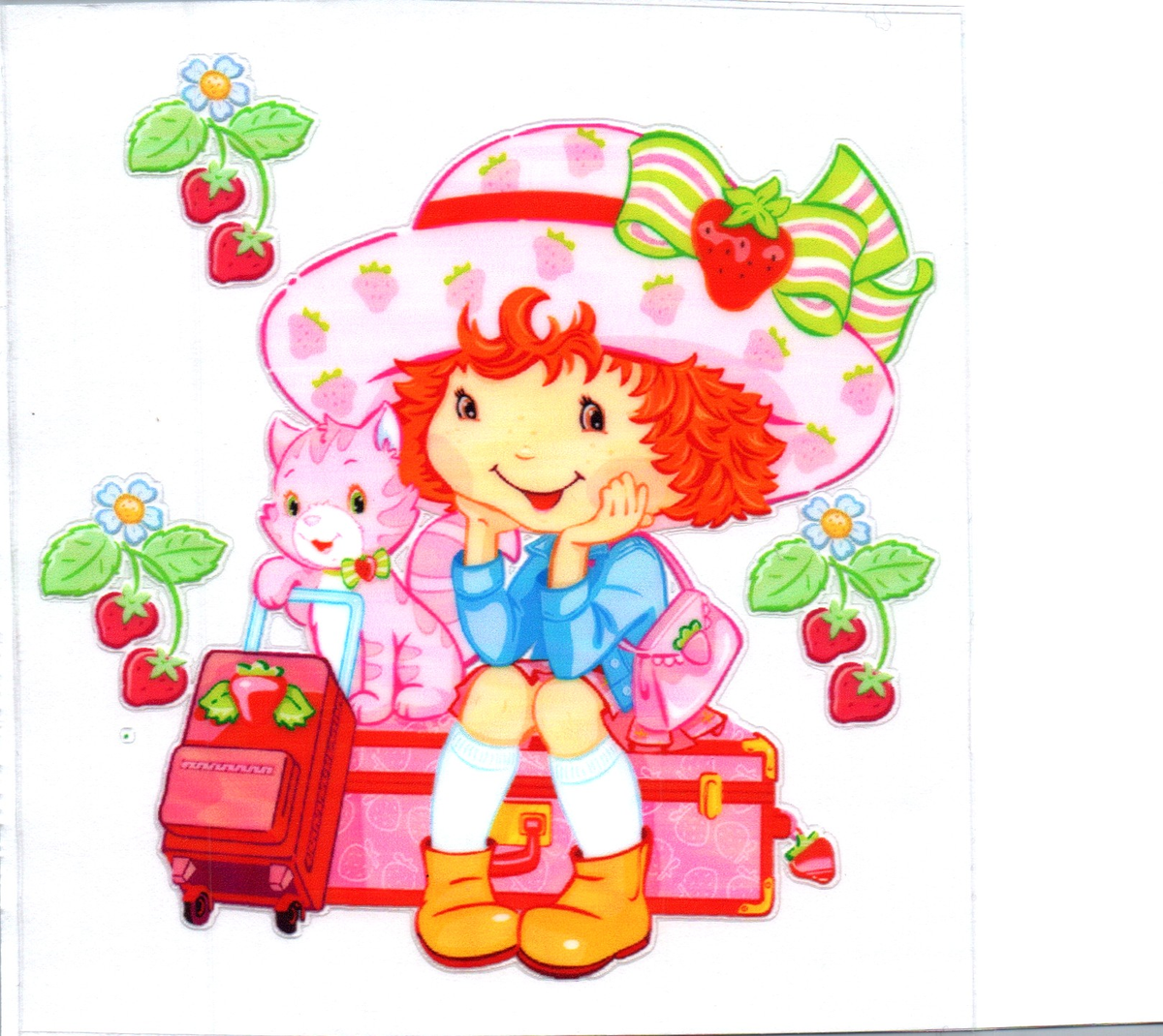 strawberry suitcases DECALS 33
