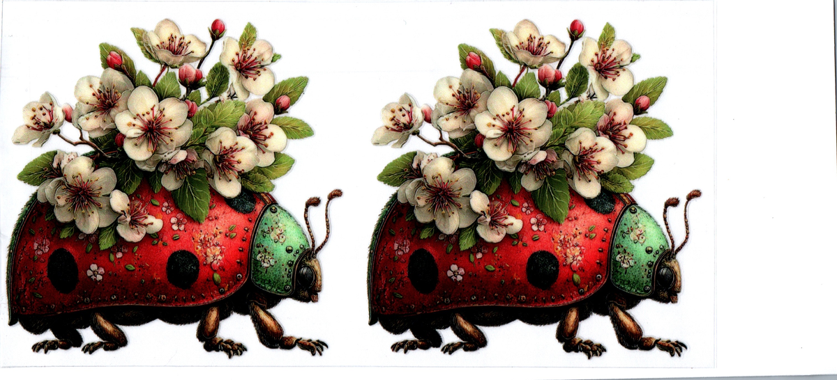 LADT BUG DECALS