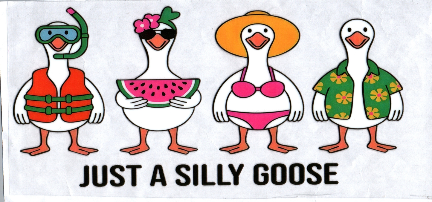 16oz Just a Silly Goose Kids