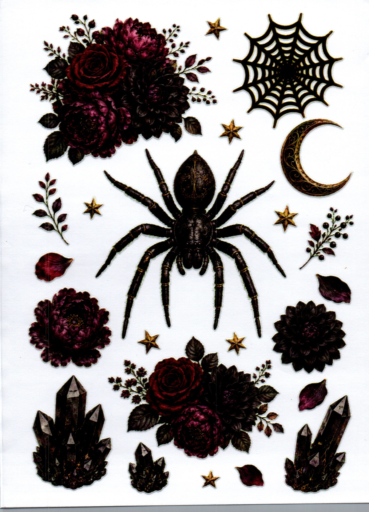 Spider A5