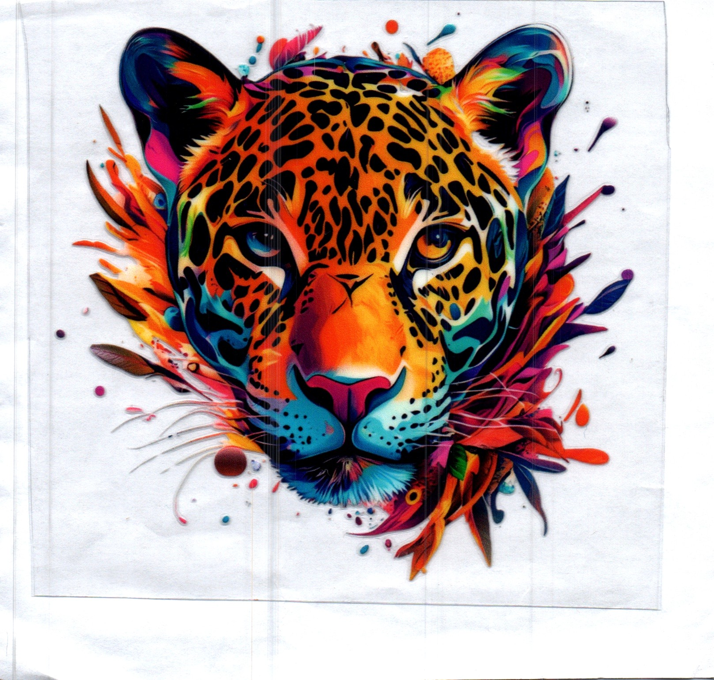 Tiger w/color splash Decal