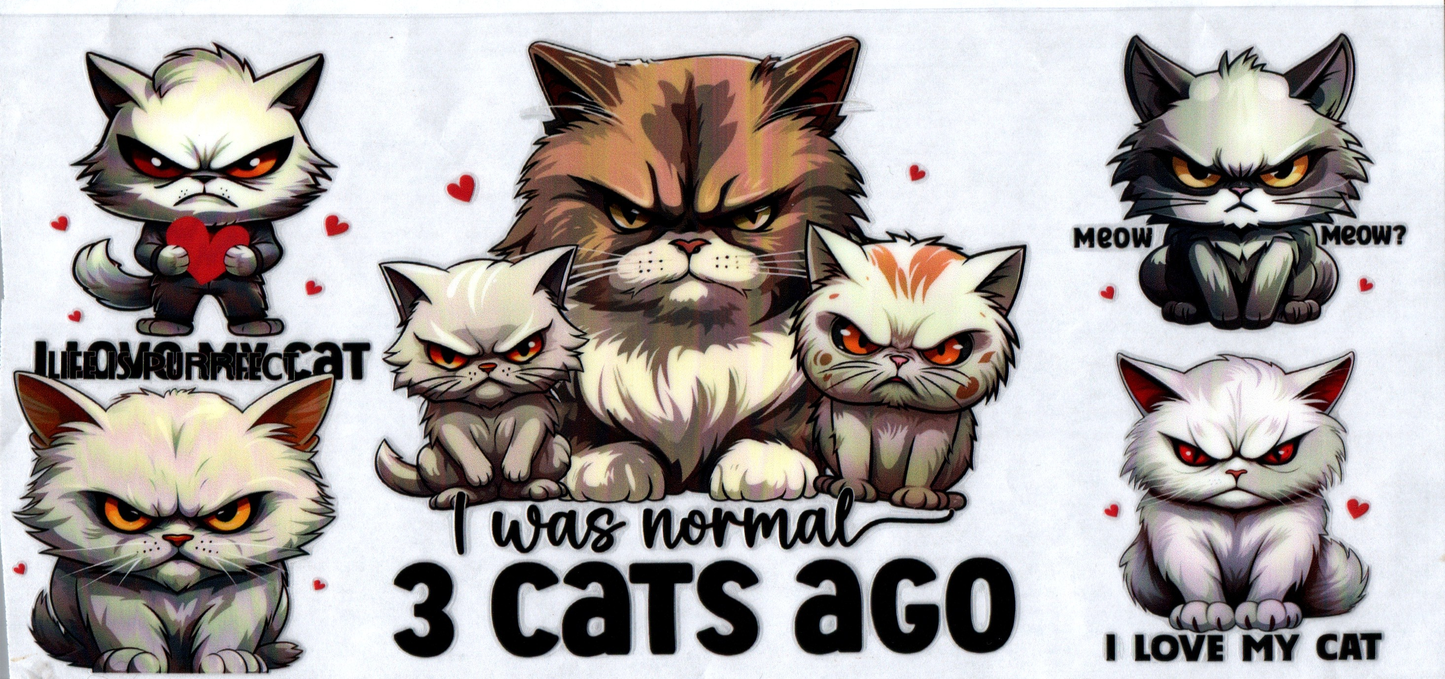 16 oz I was normal 3 cats ago 54