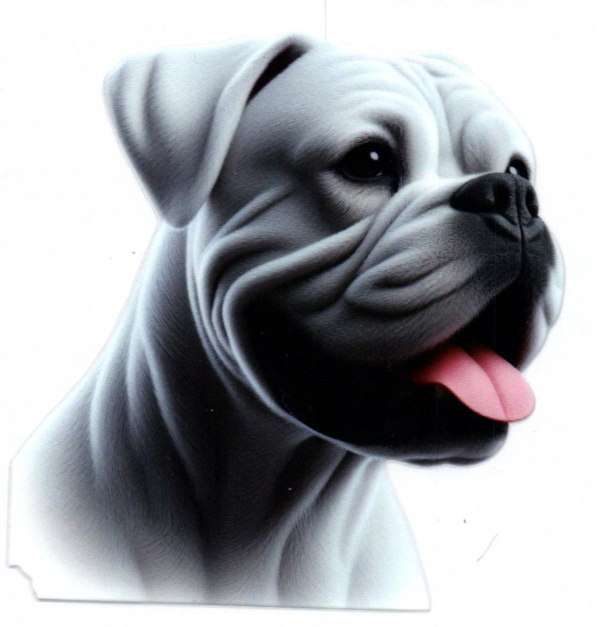 White Bulldog facing right Single Decal 55
