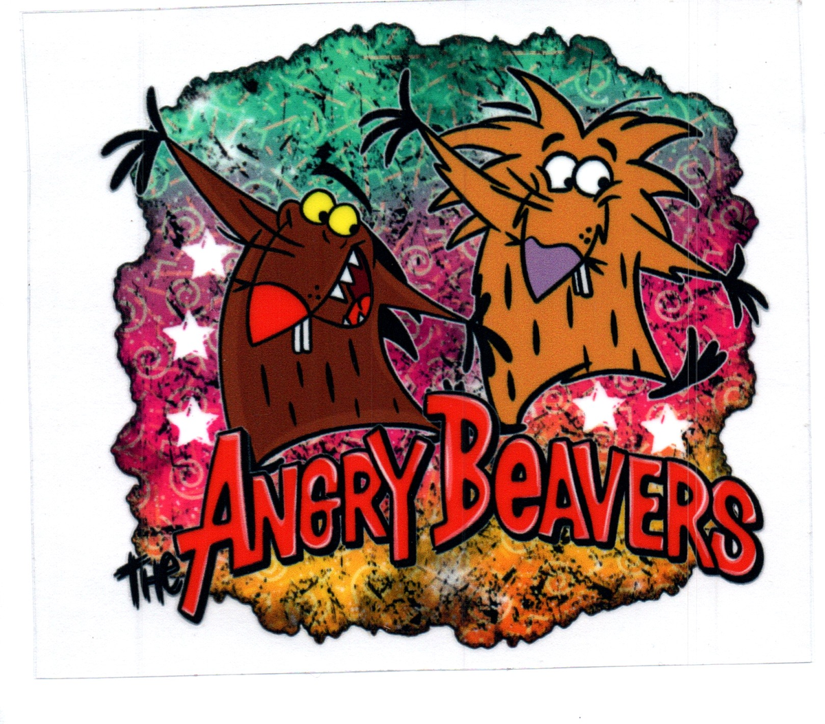 angry beavers DECALS 64