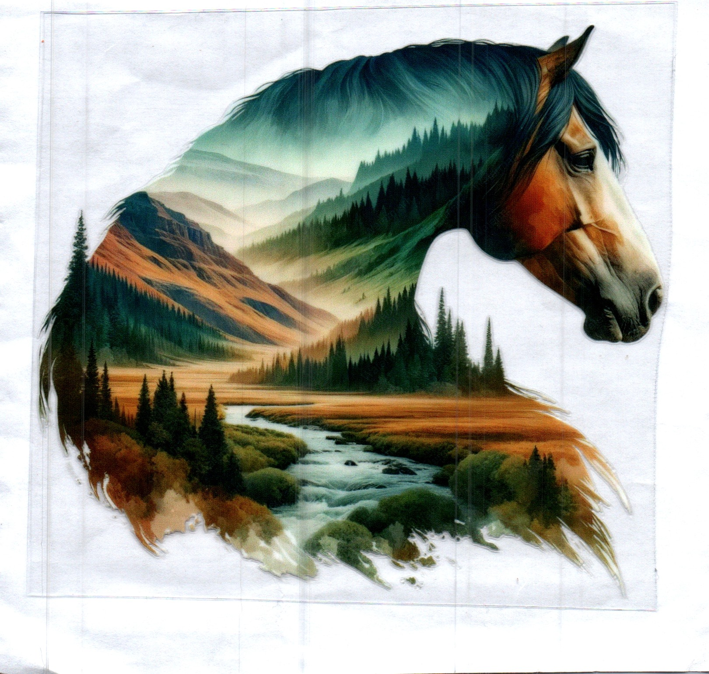 Double Exposed Horse 1 Decal
