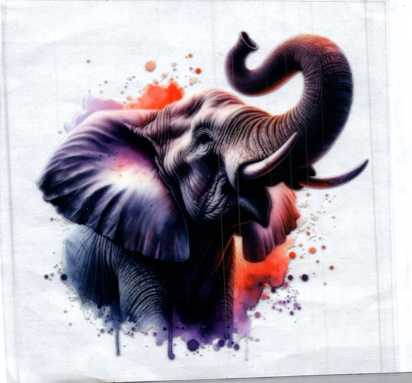 Elephant w/color splash Animal Decal