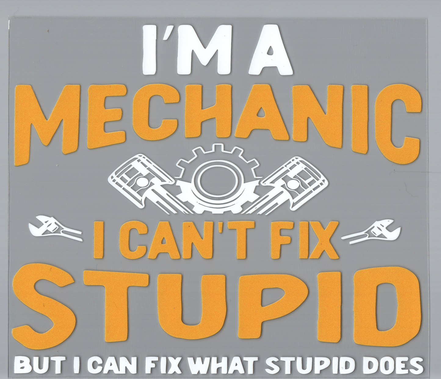 Can't Fix Stupid 20oz