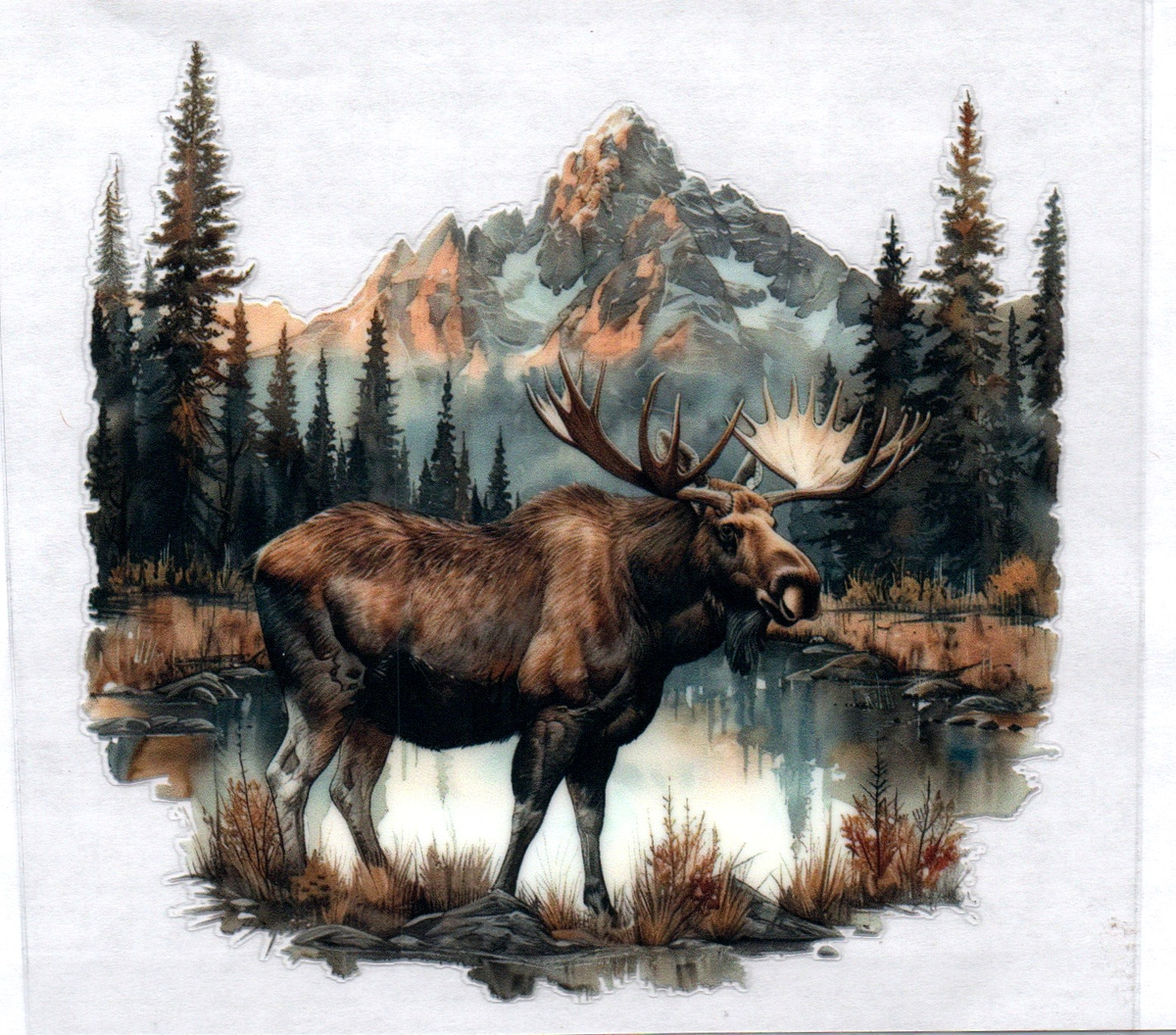 Moose w/mountain in background 14 Single Decal
