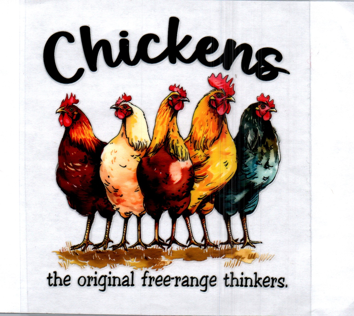 Chickens the OG free-range thinkers Single Decal 149