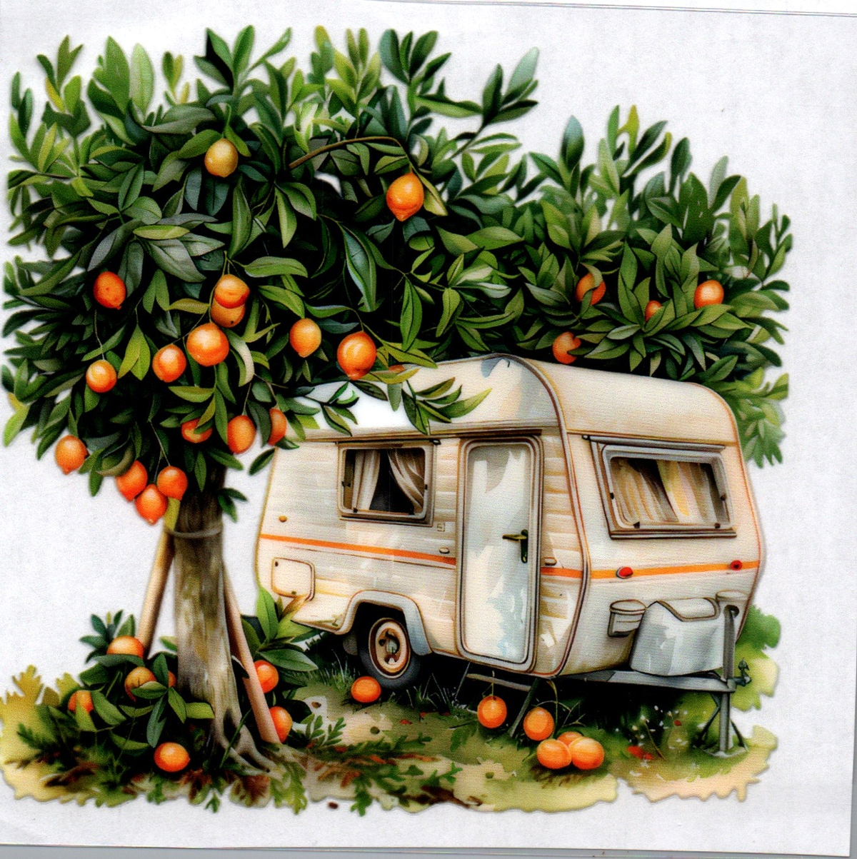 Camper w/orange tree 22 Single Decal