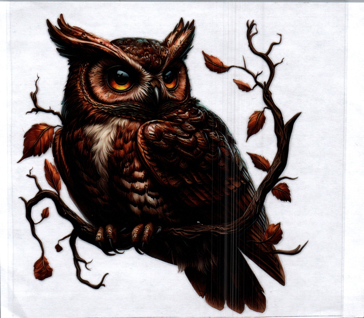 Brown Owl on branch 92 Single Decal