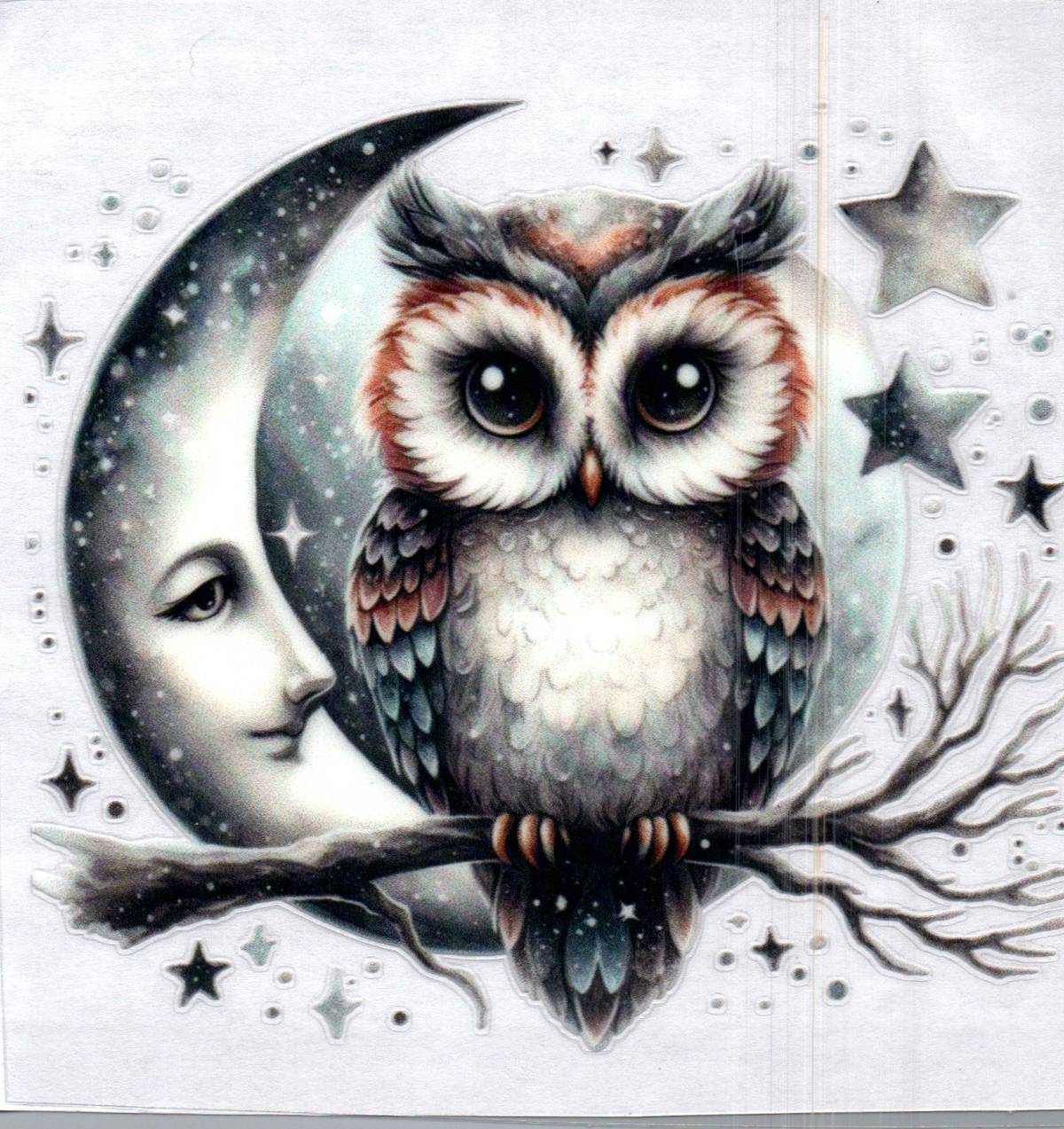 Owl w/Moon and stars 95 Single Decal