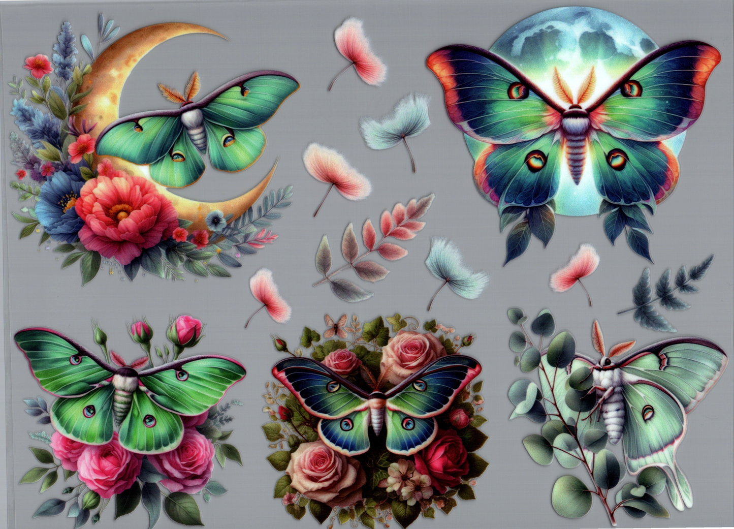Moth w/Moon Element