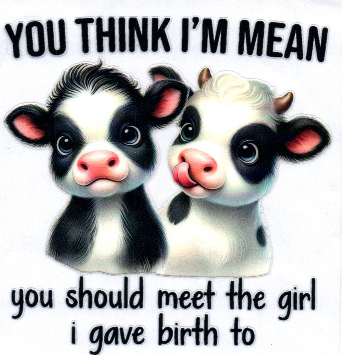 You think I'm mean Sassy Decal 37