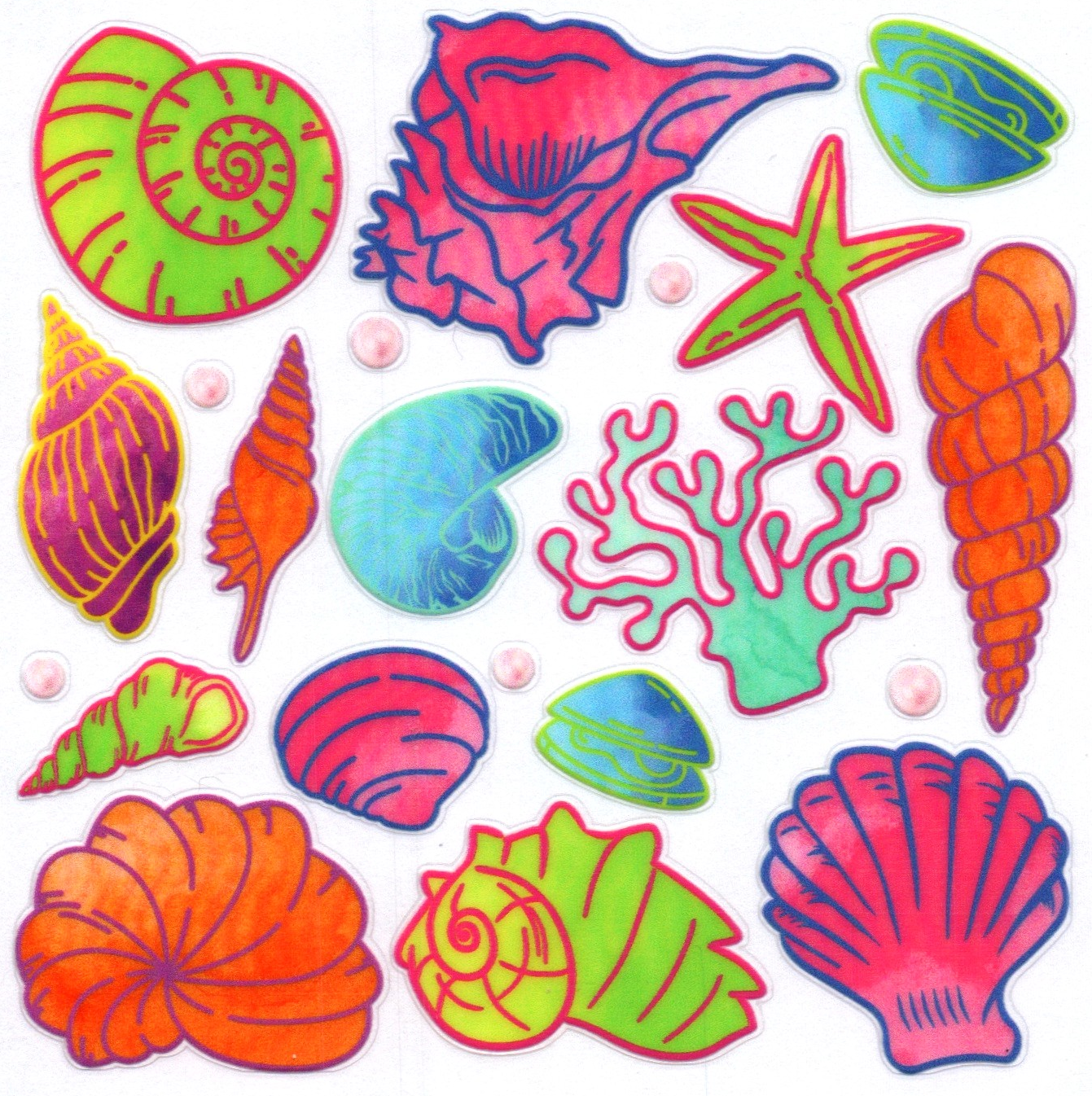 Seashells Decal 3