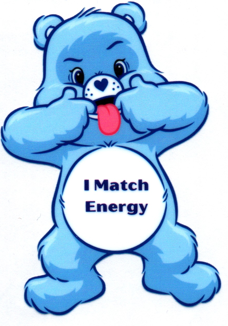I match energy Swear Bear Decal 34
