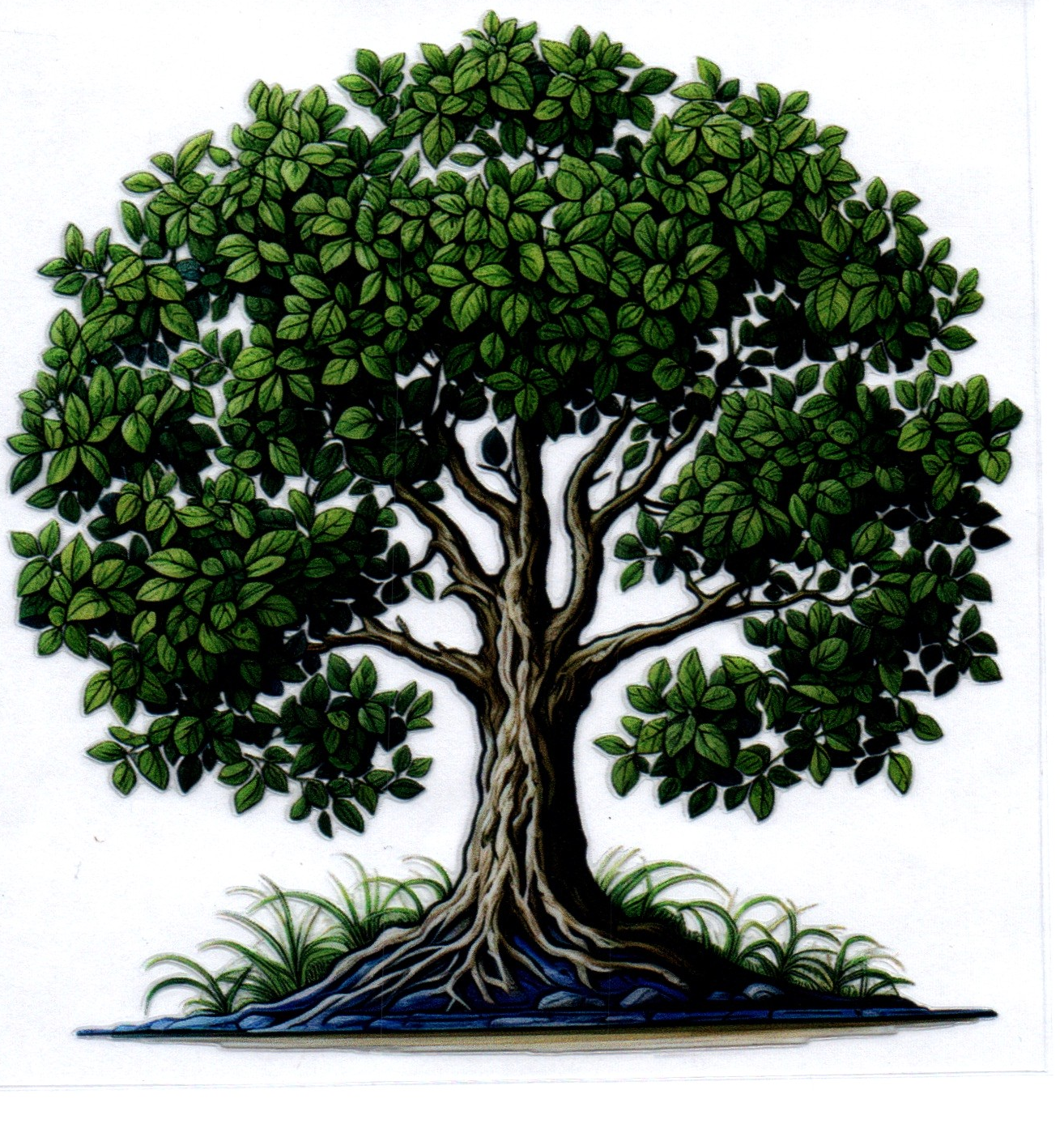 Tree of Life Decal 29