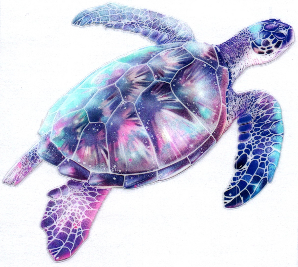Turtle Decal 7