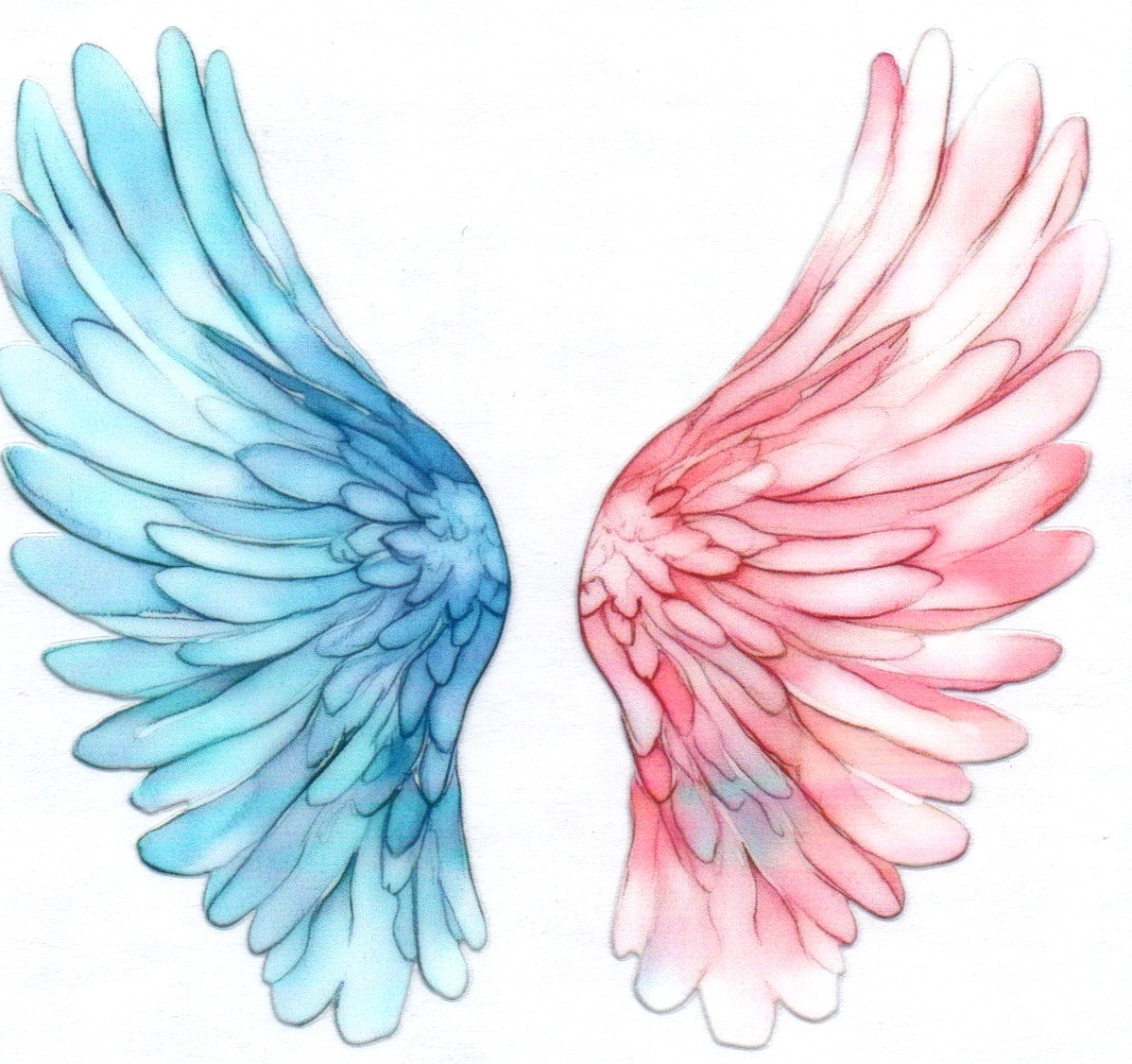 Wings Decal 12