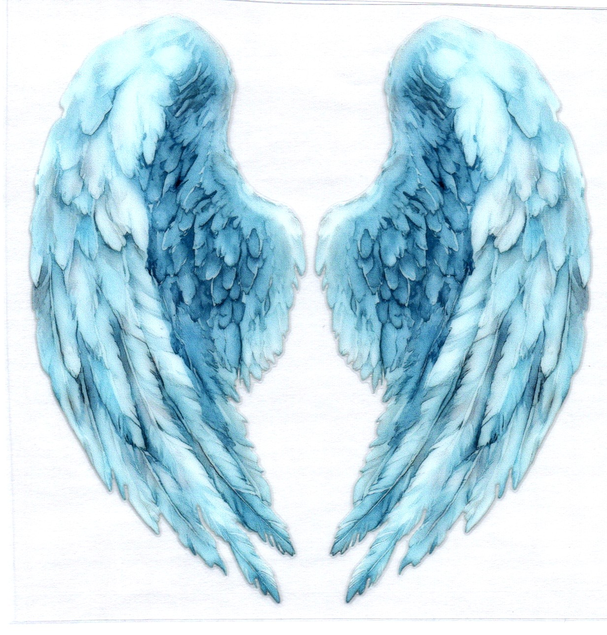 Wings Decal 16