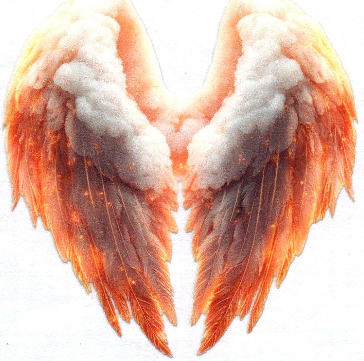 Wings Decal 19