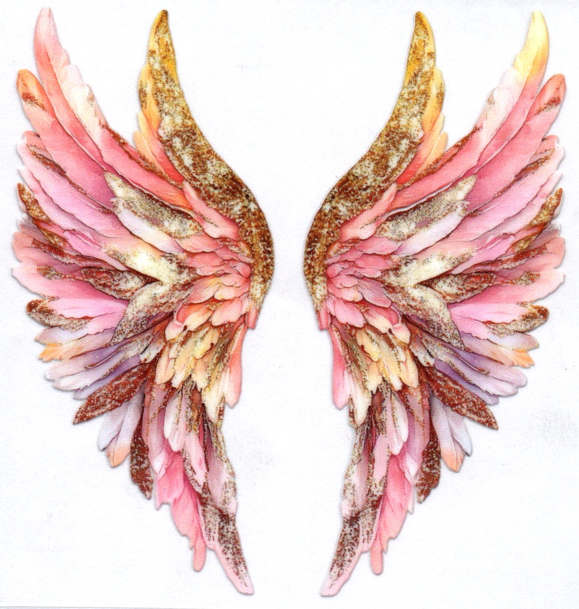Wings Decal 7
