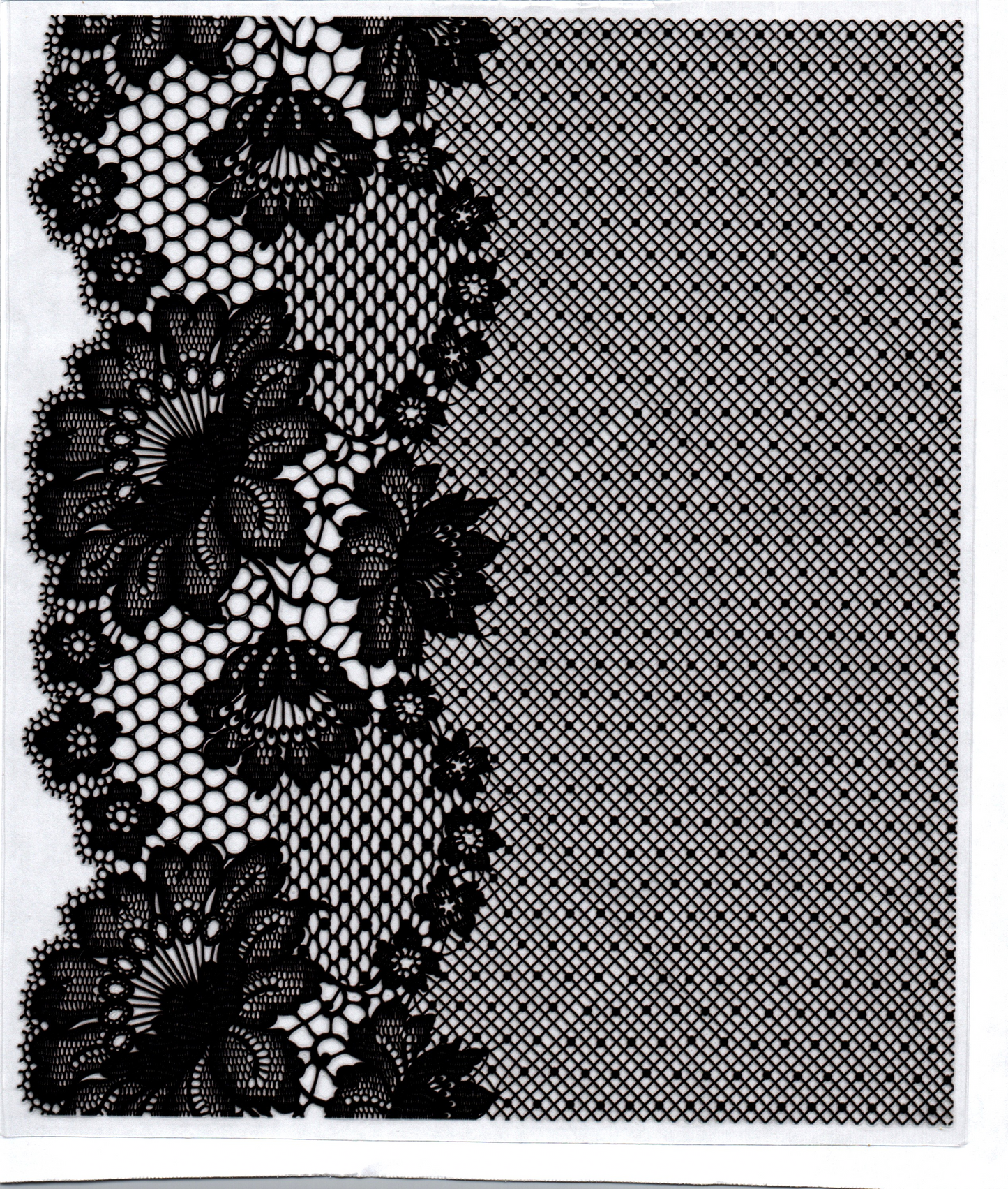 Black Lace 20oz