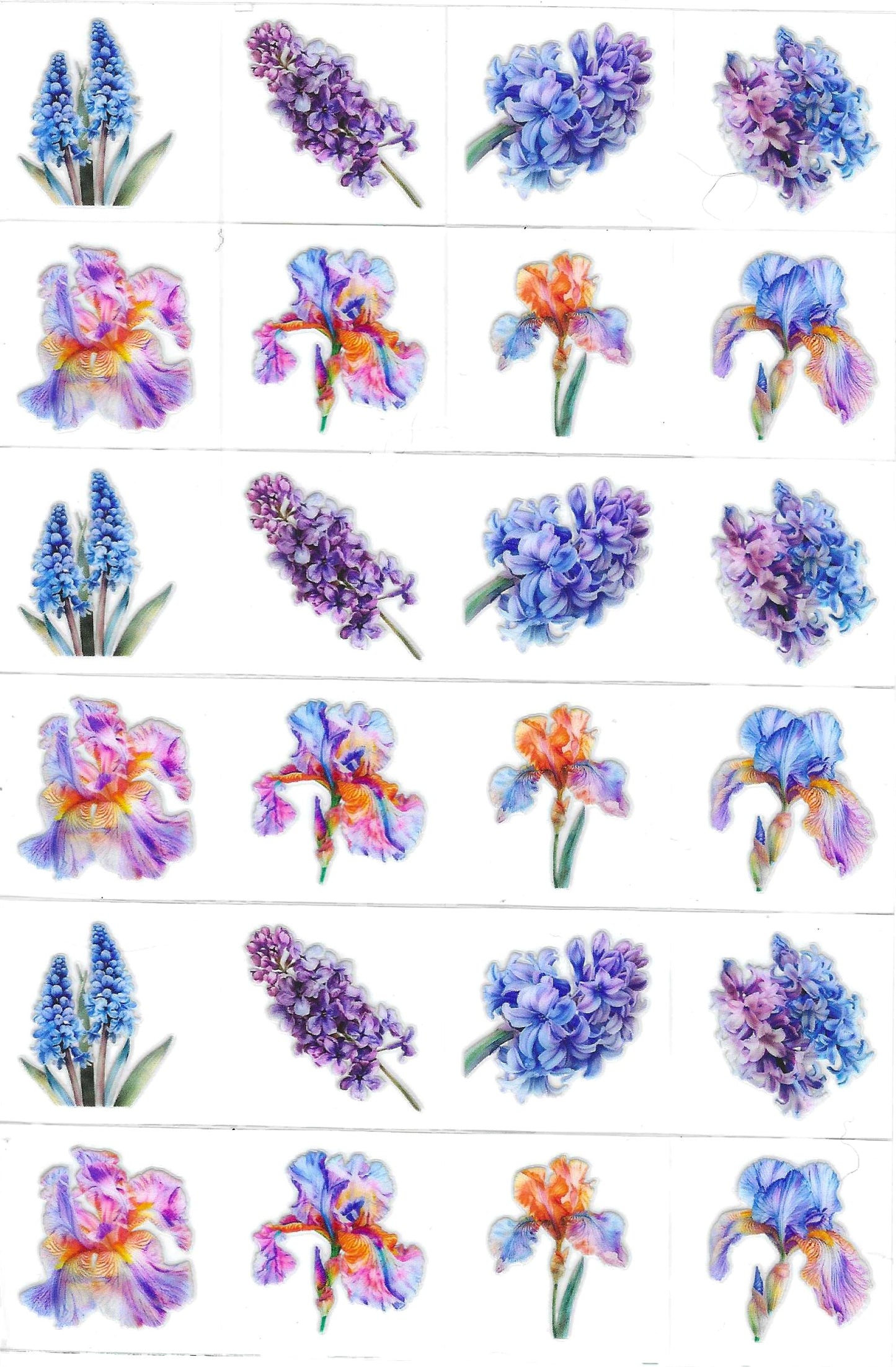 Flowers blue/purple Kiss Cut
