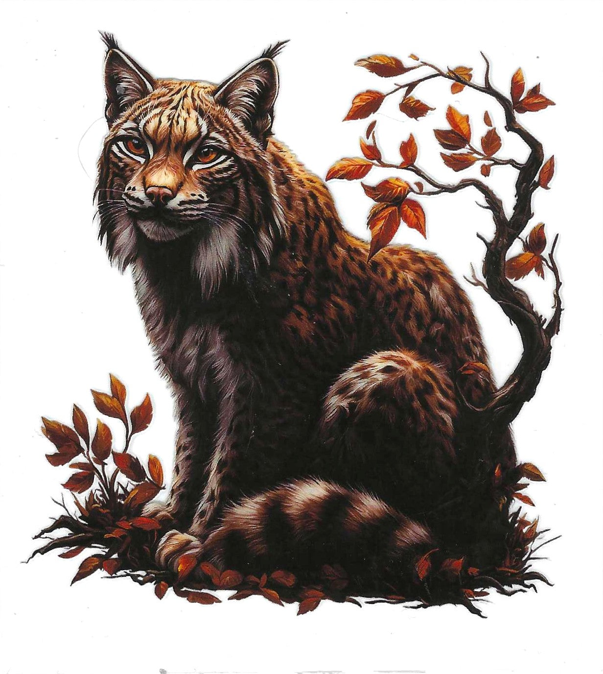 Bob Cat Decal