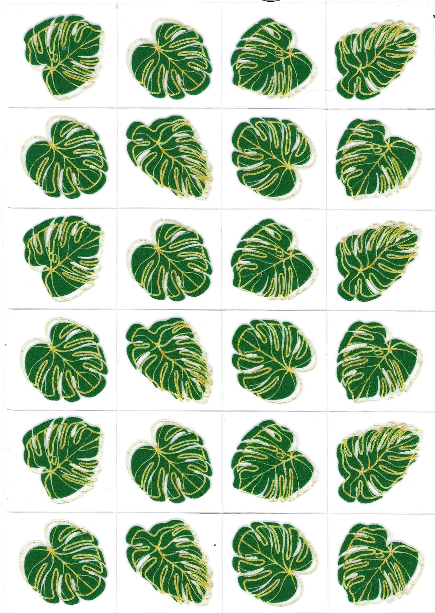 Leaves