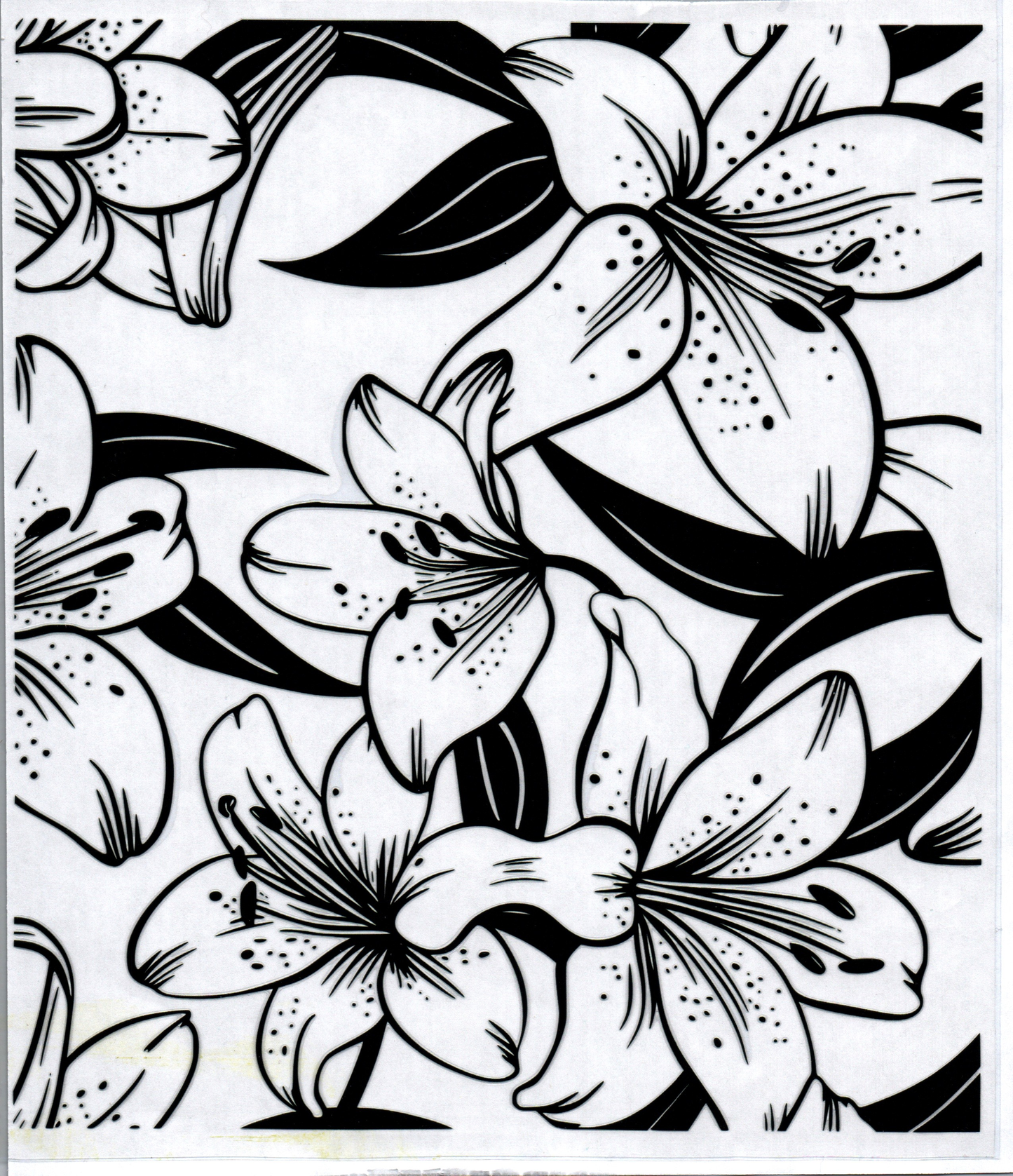 Lily 20oz
