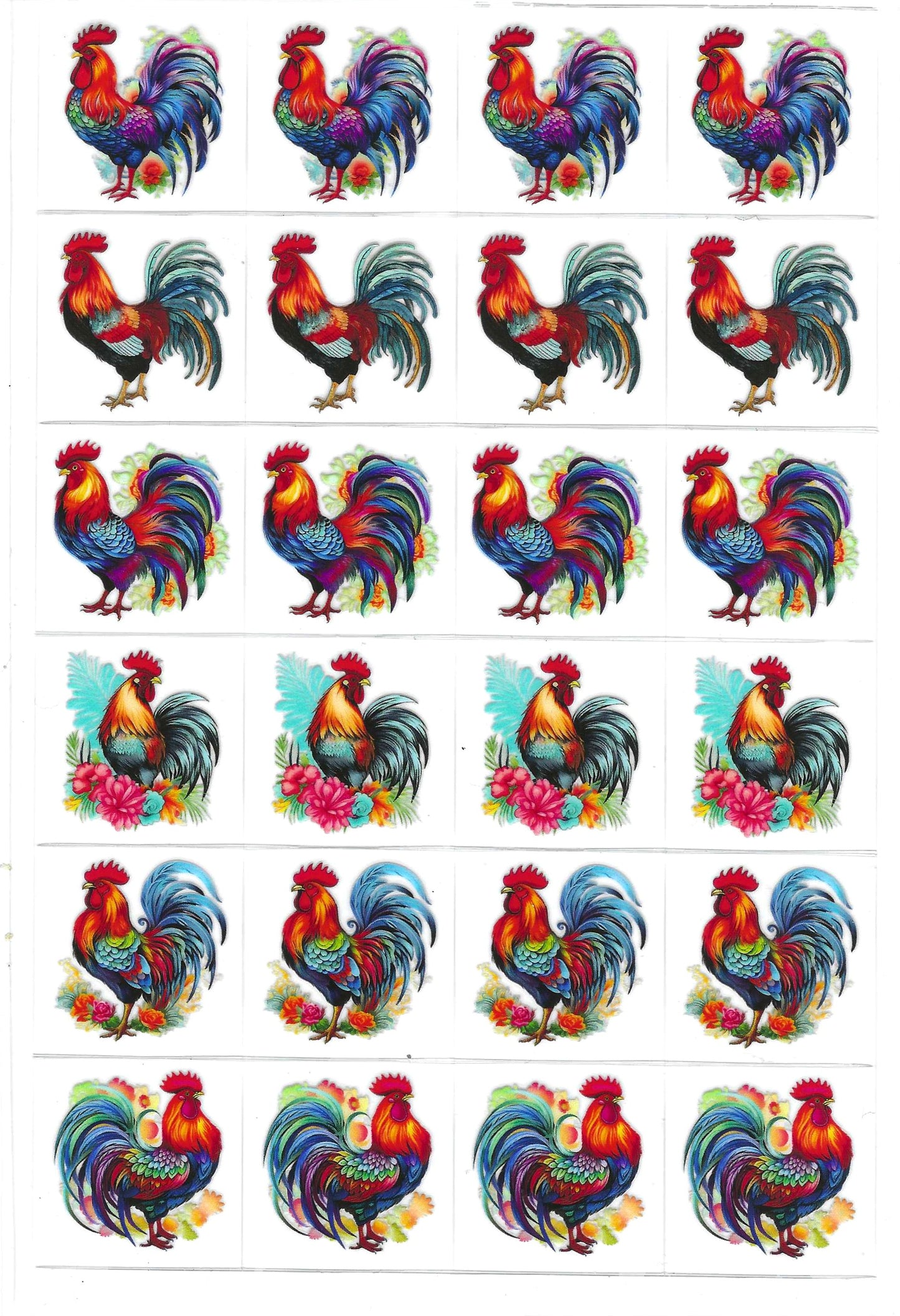 Rooster Chicken's Kiss Cut