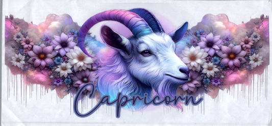 16oz Zodiac Signs 105